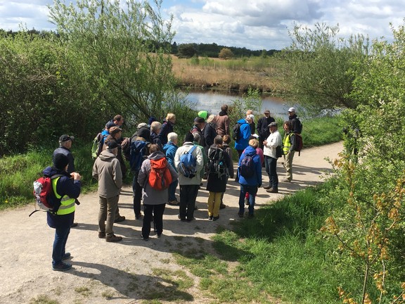 Nach einer kurzen Pause am Aussichtsturm ging es weiter. (Foto: WHB/T. Auf der Landwehr)