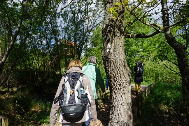 Die Wanderung folgte den WHB-Hauptwanderwegen X 11 und X 24. (Foto: WHB/U. Steinkrüger).