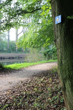 Der Pilgerweg an der Ems bei Warendorf
