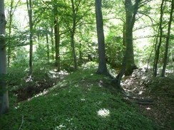 Heutiger Zustand der Landwehr an der Ecke Höltene Schluse/Flothbach, Foto: Elmar Lange 2010