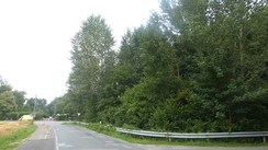 Die Lage der ehemalige Steinerne Schleuse (rechts im Bild). Sie ist heute völlig zugewachsen und als solche nicht mehr erkennbar. Foto: Elmar Lange