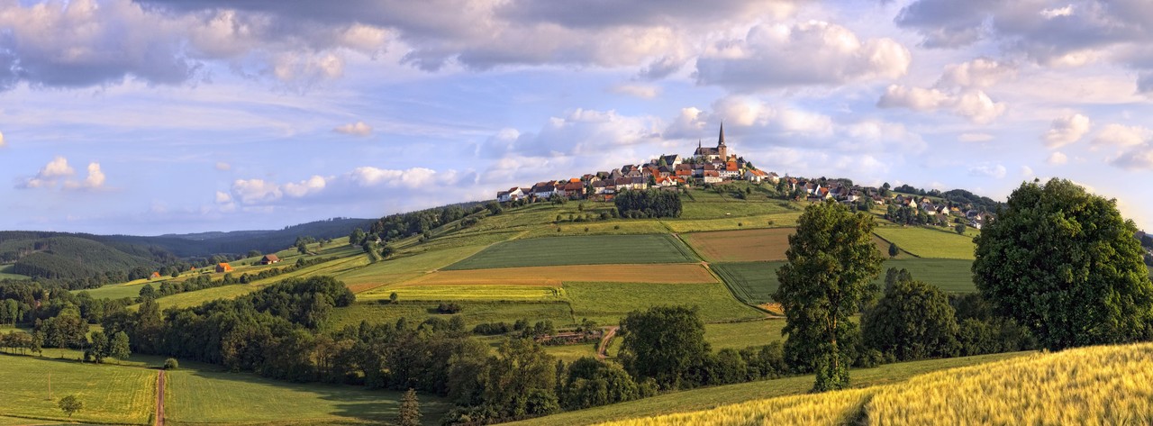 Rüthen-Kallenhardt im Arnsberger Wald, Foto/ Helene Lauk © LWL-Medienzentrum für Westfalen